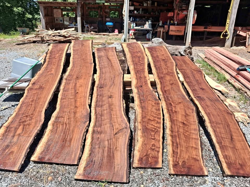 Live edge walnut slabs - Image 1