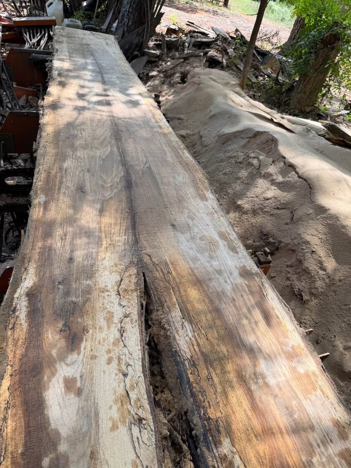 White oak 2” slabs - Image 2
