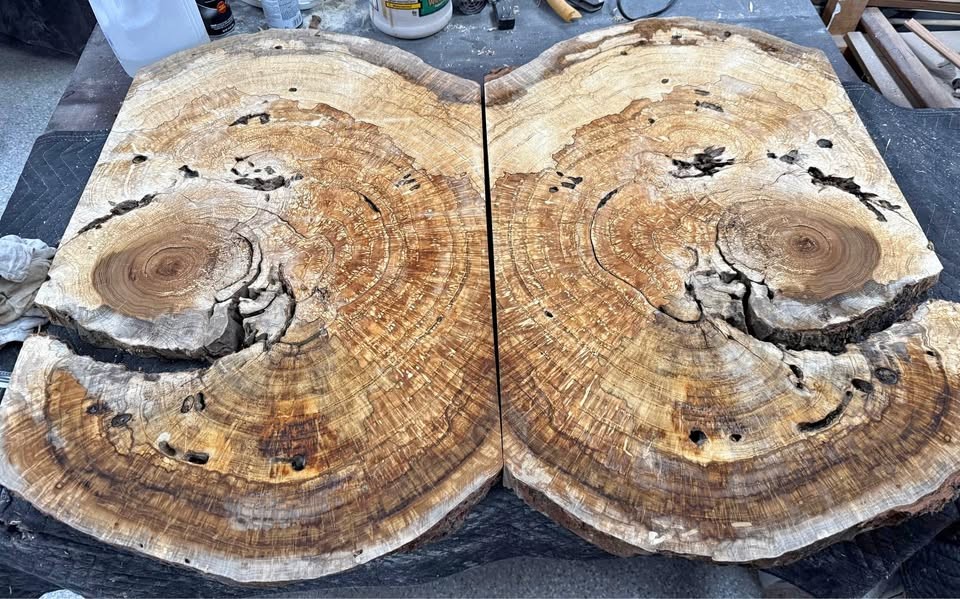 Large White Oak Burls Wood Burl Slabs Book matched and Rare - Image 1