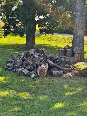 Pecan wood , cut ready to load.