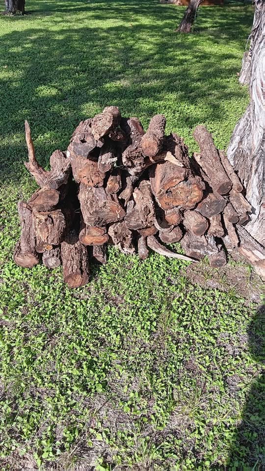 Wood - Image 2
