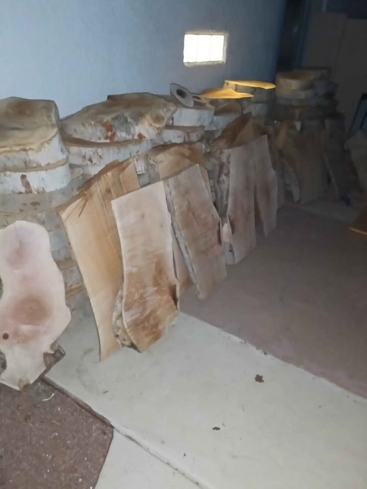 Trailer full of Sycamore sun dried slabs&rounds - Image 7
