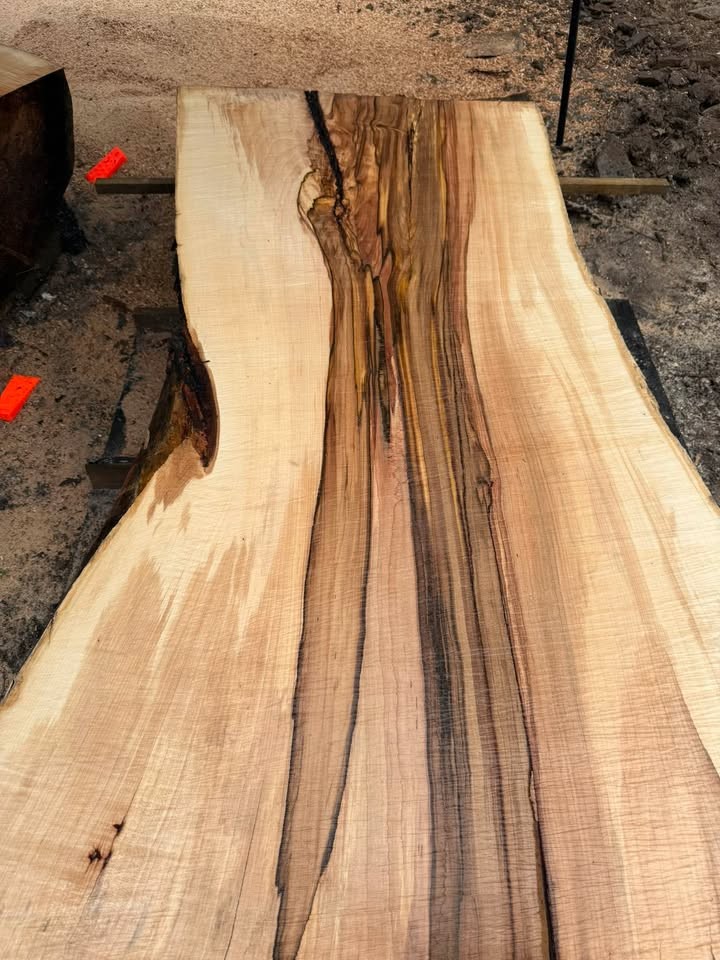 Silver Maple Live Edge Sawmill Slabs - Image 4