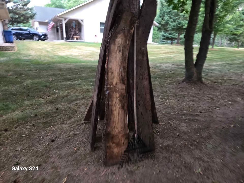 Ash Boards - Image 2