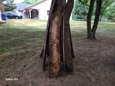 Ash Boards