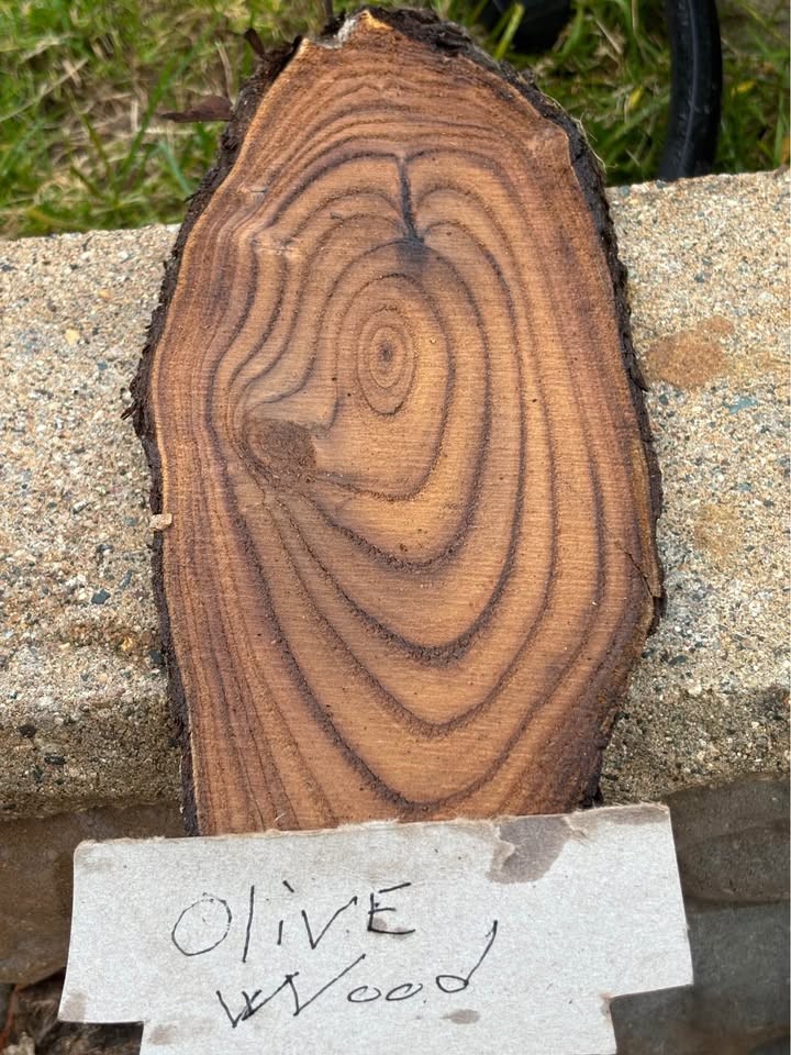 Assorted Live Edge Wood Slices - Image 6