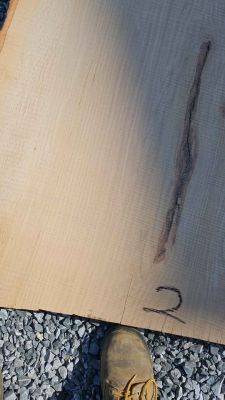 Oak slab,2 1/2 "thick 12ft long,3ftwide4ftw  slab number 2