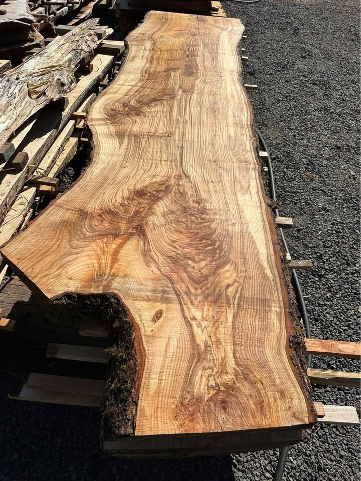 Wild Ash Slabs ;) (Kiln Dried) - Image 5