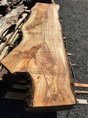 Wild Ash Slabs ;) (Kiln Dried)
