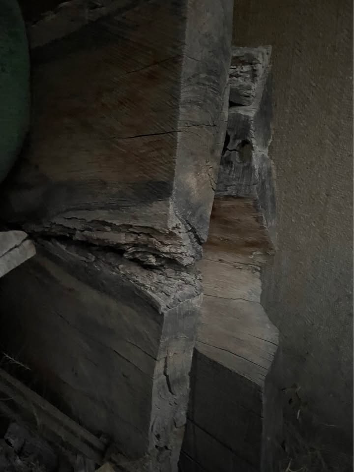Wood slabs - Image 3