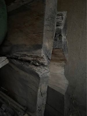 Wood slabs