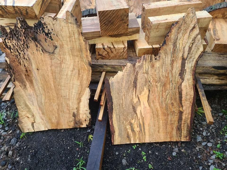 Curly spalted ambrosia maple turning blanks and rounds - Image 6