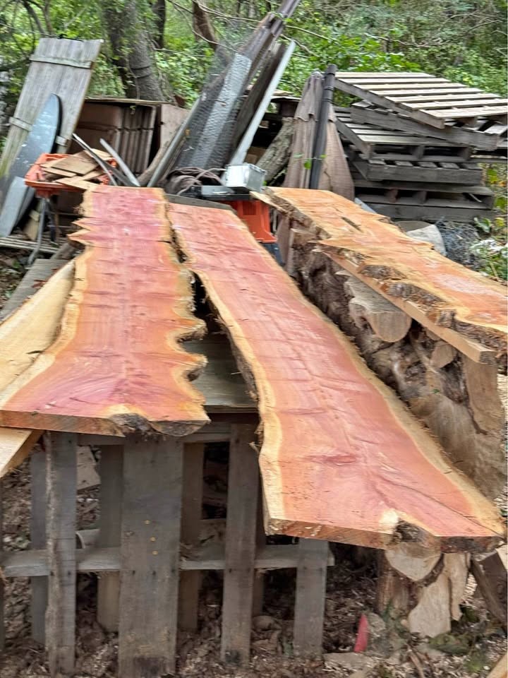 Live Edge Cedar Wood Slabs - Image 1