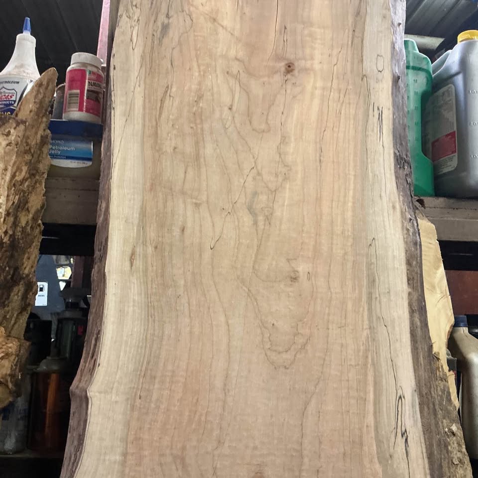 LIVE EDGE MAPLE BAR OR COUNTER TOP - Image 2