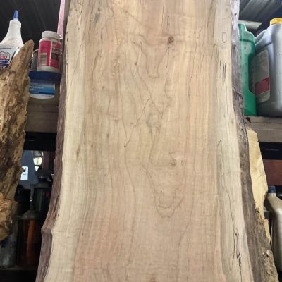 LIVE EDGE MAPLE BAR OR COUNTER TOP