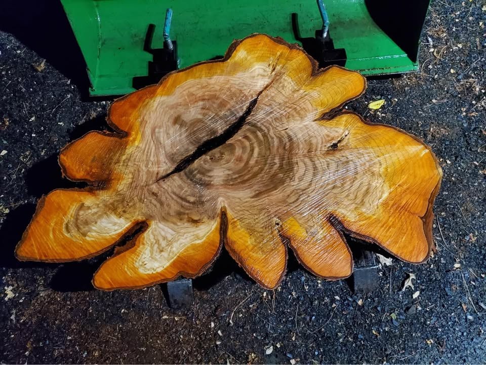 Live Edge Slab Wood/ Lumber For Sale - Image 2