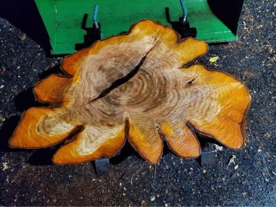 Live Edge Slab Wood/ Lumber For Sale