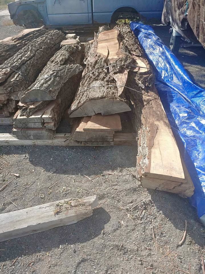 Black Walnut Slabs - Image 1