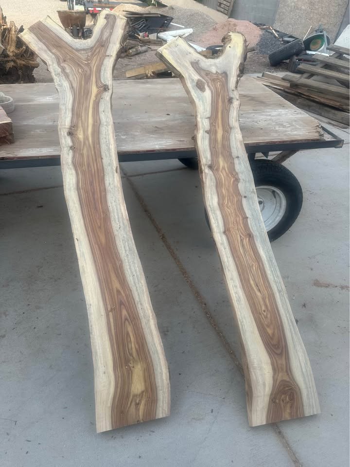 Live edge wood slabs - Image 3