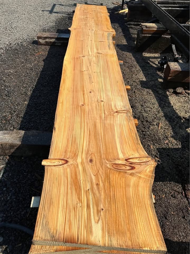 End of Season Wood Slab Sale - Image 3
