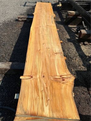 End of Season Wood Slab Sale