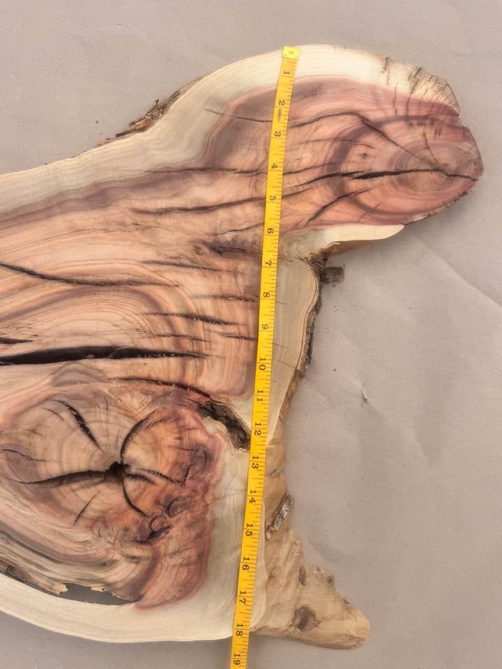 ???? PISTACHIO LIVE-EDGE PLANK — Fiery Reds & Natural Character - Image 8