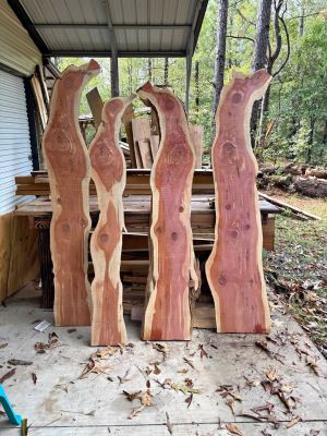 Unique cedar slabs
