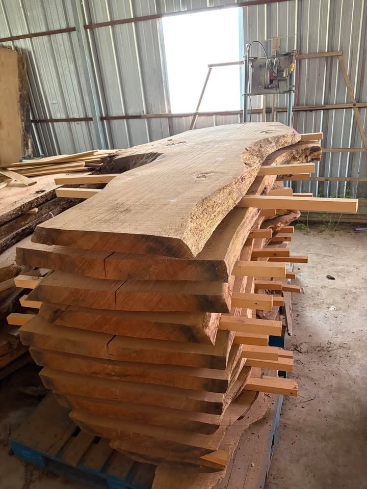 Kiln Dried Slabs White/Red/Black Post Oak, Sweet Gum Locally Milled Project Ready Bundle Discounts - Image 4