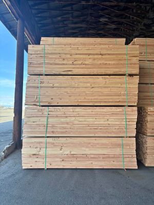 2x4x10 #2 NGS DF