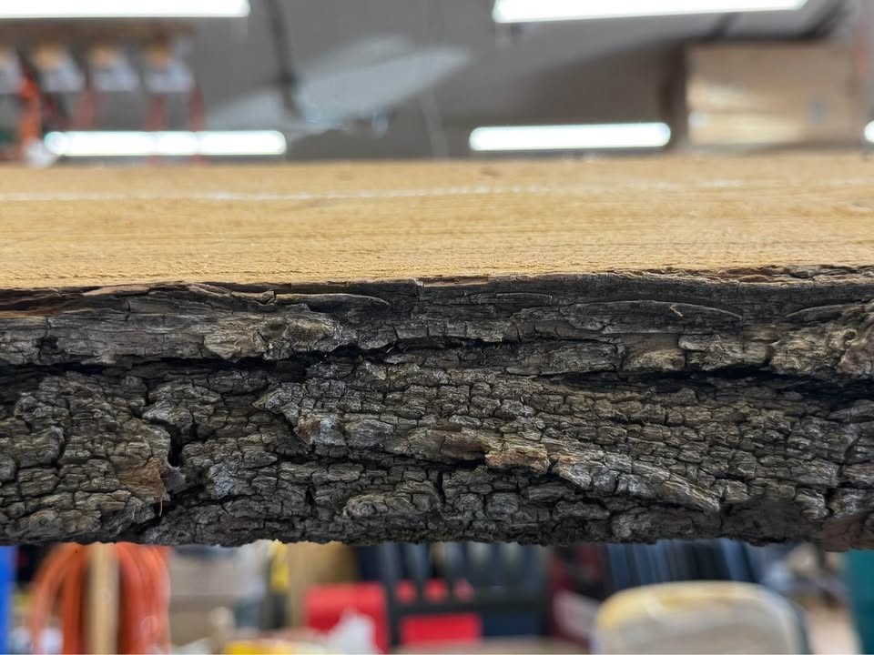 Live Edge Wood Slabs-3 - Image 3