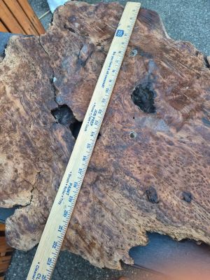 Burl slab/wood