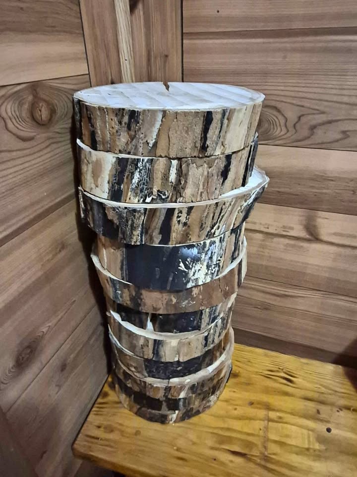 Wooden Maple rounds - Image 1