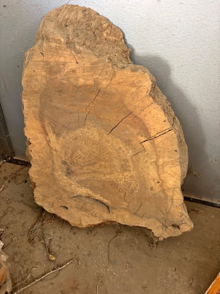 Beautiful Oak Slab