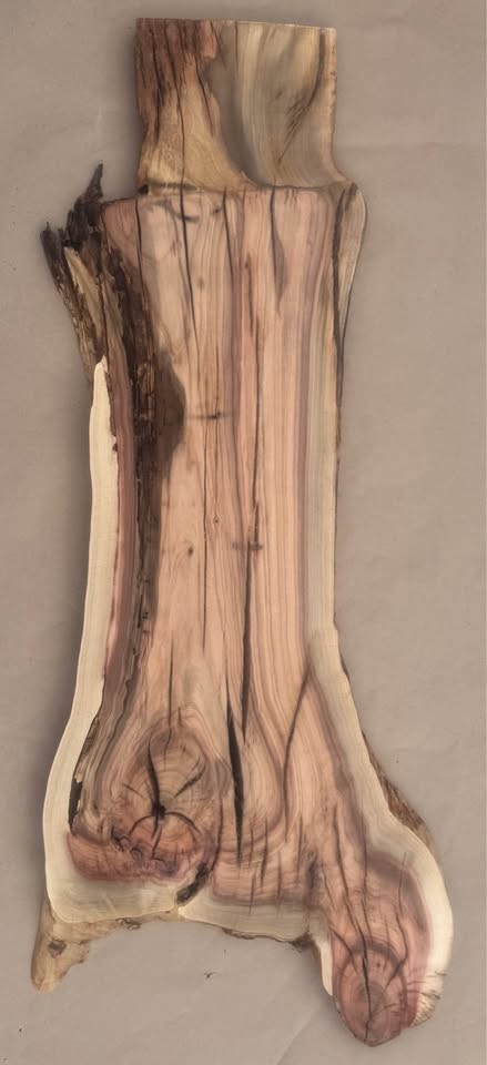 ???? PISTACHIO LIVE-EDGE PLANK — Fiery Reds & Natural Character - Image 5