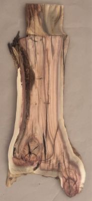 ???? PISTACHIO LIVE-EDGE PLANK — Fiery Reds & Natural Character
