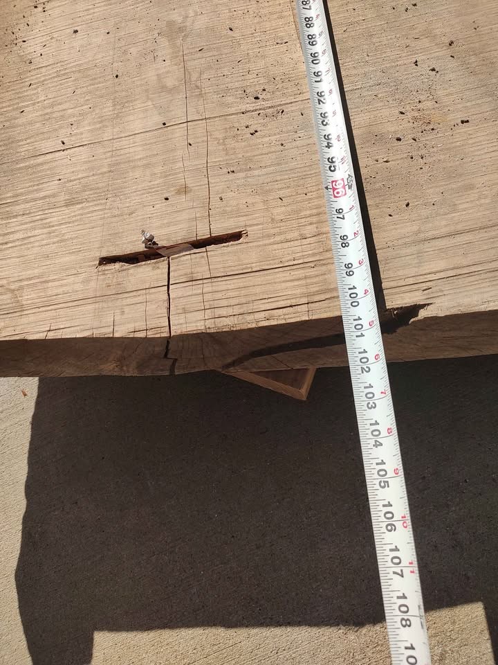 Wood slabs sycamore - Image 3