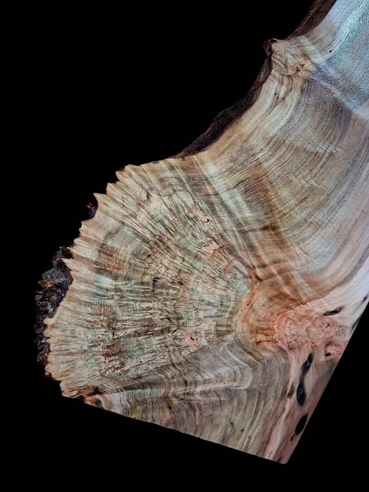 XL MIND BLOWING Birdseye MAPLE BURL Wood Blank, charcuterie blank, Live Edge Maple, EPOXY WOOD - Image 4