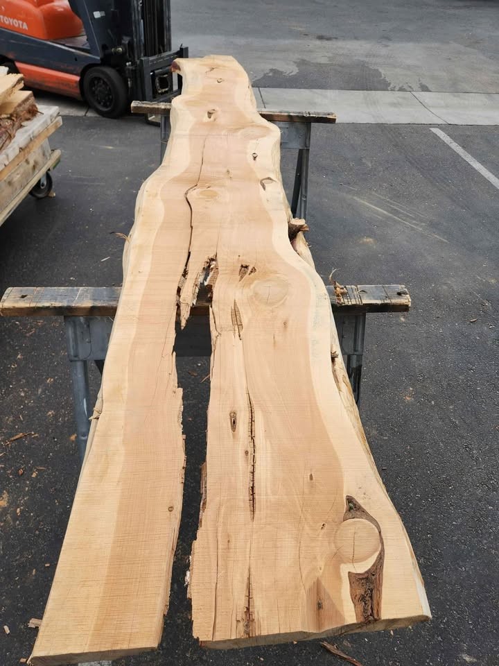 Cool Project Wood - Juniper Slab - 3x22x11.5ft - Kiln Dried - Image 5
