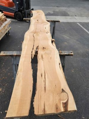 Cool Project Wood - Juniper Slab - 3x22x11.5ft - Kiln Dried