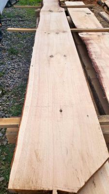 Pine slabs