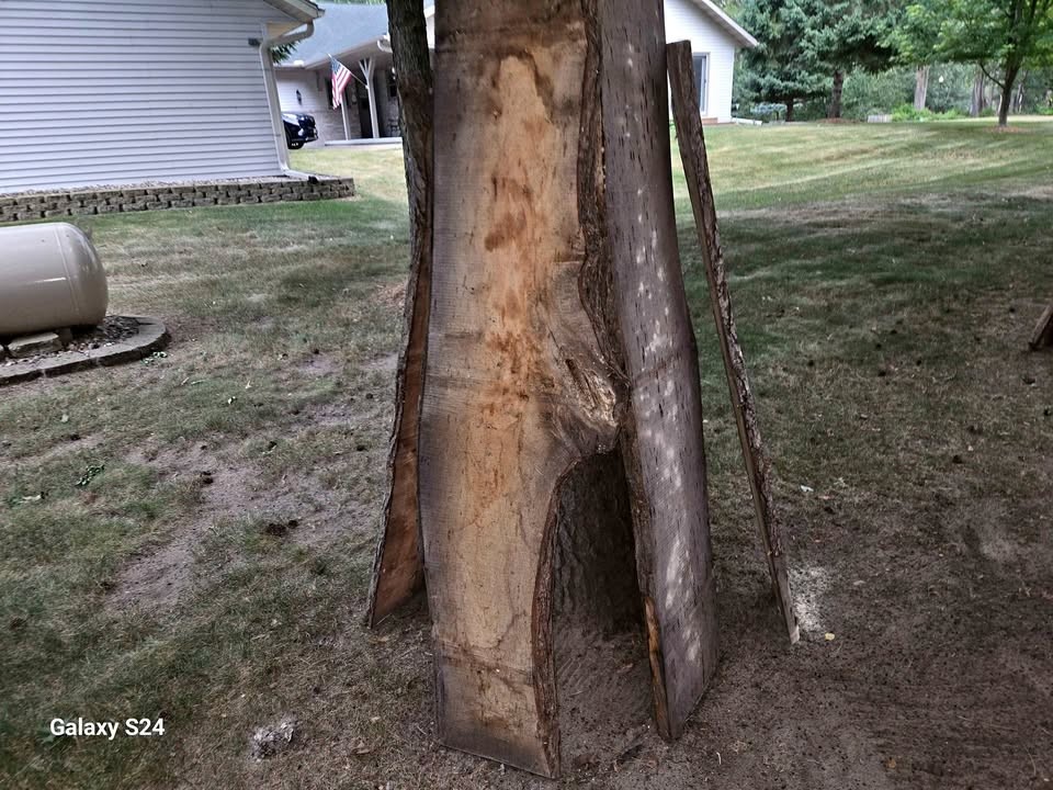 Ash Boards - Image 1