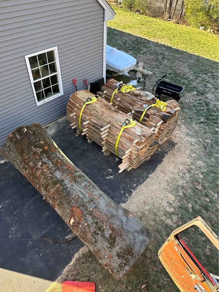 Log For Slabs - Image 3