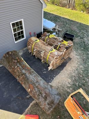 Log For Slabs