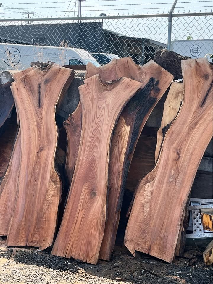Live edge wood slabs - Image 4