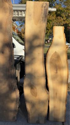 Live Edge Slabs