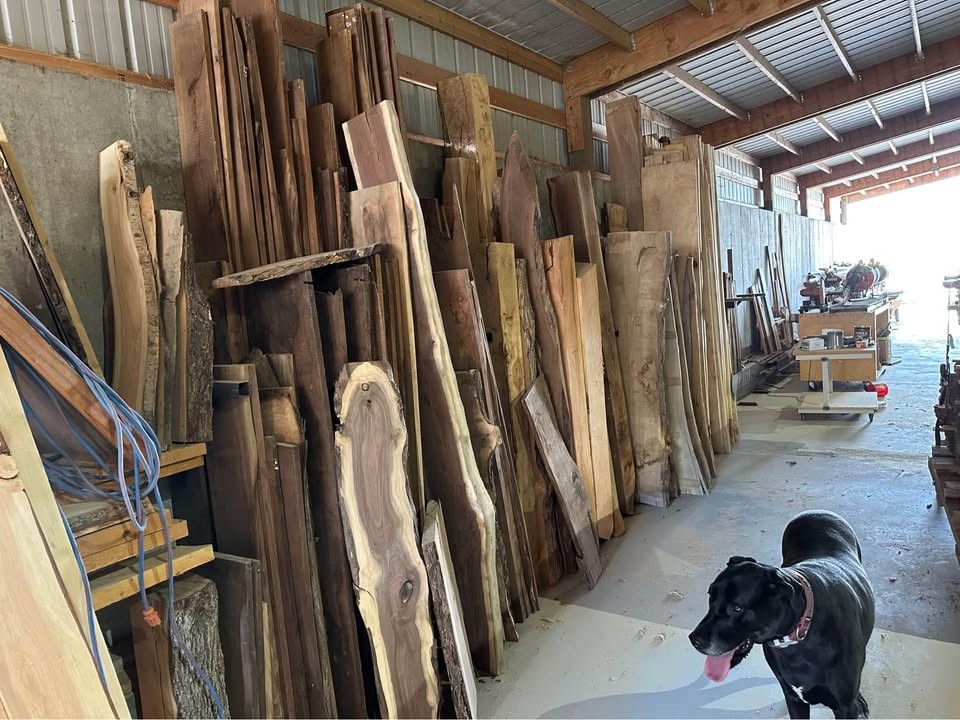 LIVE EDGE WOOD SLABS OAK, ELM, WALNUT, MAPLE, KILN DRYING - Image 9