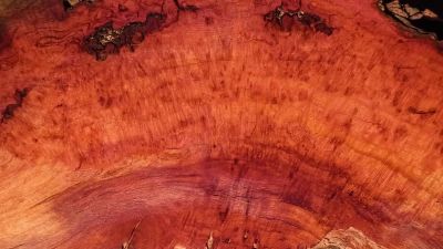 Cherry Burl Slab 18" x 6" x 2.25" — Deep Red Figured Live Edge Blank
