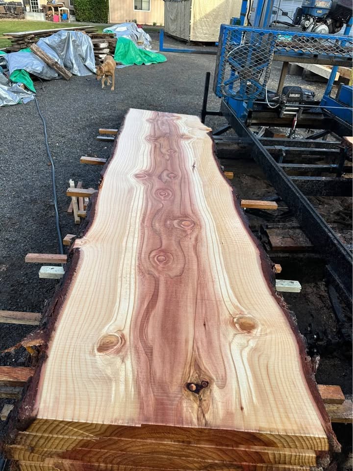 Sequoia Slabs - Image 3