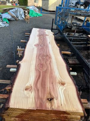 Sequoia Slabs