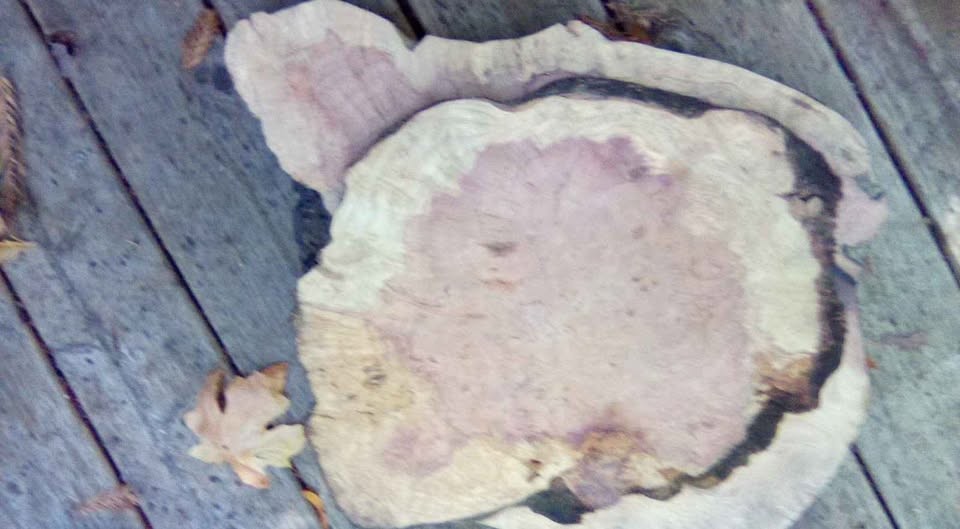 Live Edge Wood Slabs for Woodworking - Image 4